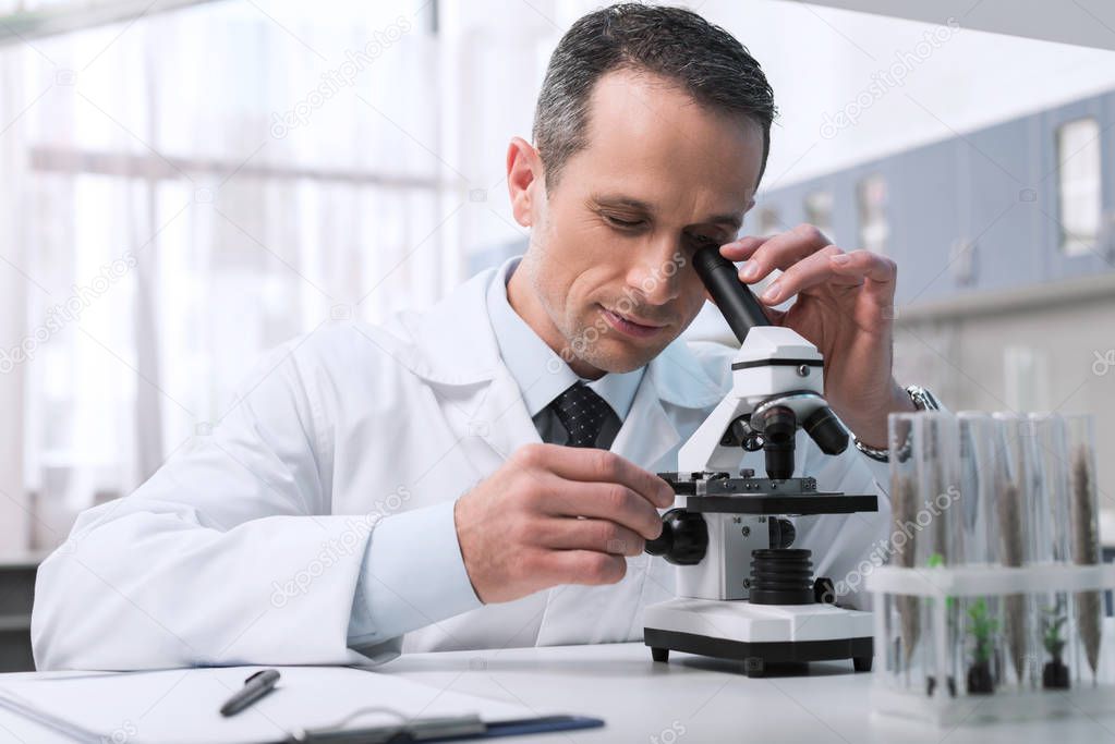 Informe de laboratorio con resultados de análisis de suelo de olivar