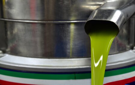 Muestras de suelo etiquetadas y registradas para una cooperativa de olivar